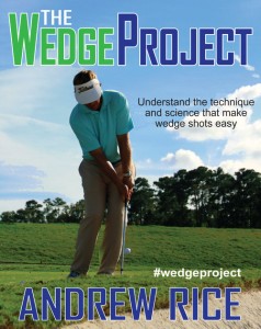 The  Wedge Project Giveaway Andrew Rice